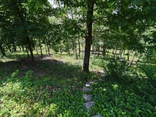 Villa in Durbuy with Jacuzzi  Golf Access Vacation rental in Wallonia, Belgium