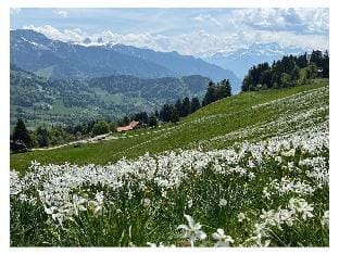 La Vigneronne, uitzicht op het meer Vacation rental in Switzerland