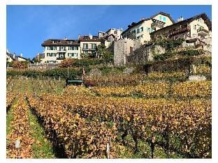 La Vigneronne, uitzicht op het meer Vacation rental in Switzerland