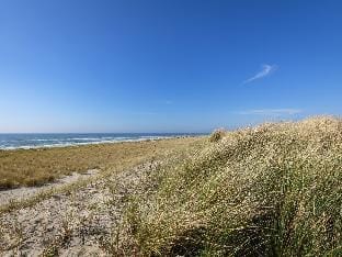 Beautiful villa, with two bathrooms, located in a holiday park near the beach Vacation rental in North Holland (province)