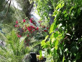 Tuinappartement - Castel dIncze Vacation rental in Roquebrune-Cap-Martin