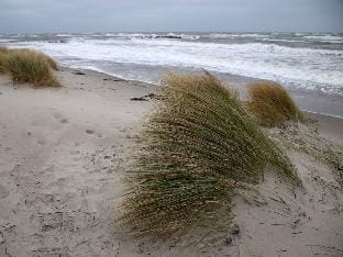 Ostseeliebe Comfortable holiday residence Vacation rental in Schleswig-Holstein
