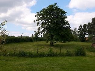in the old manor house Vacation rental in Mecklenburgische Seenplatte