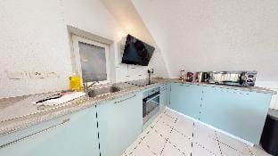 duplex des dominicains 1 free parking    3br Apartment in Colmar