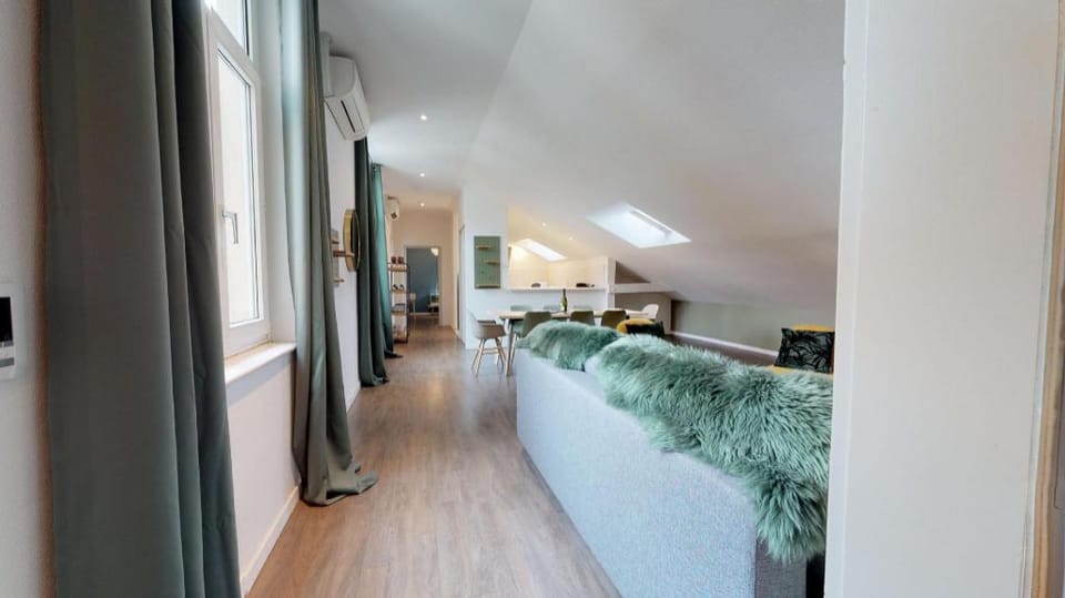 L'Entêté clim hypercentre 5 à 7 personnes Apartment in Colmar