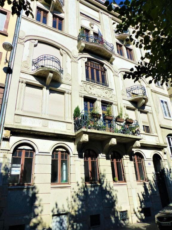quai koch 90m2 city center    3br Apartment in Strasbourg