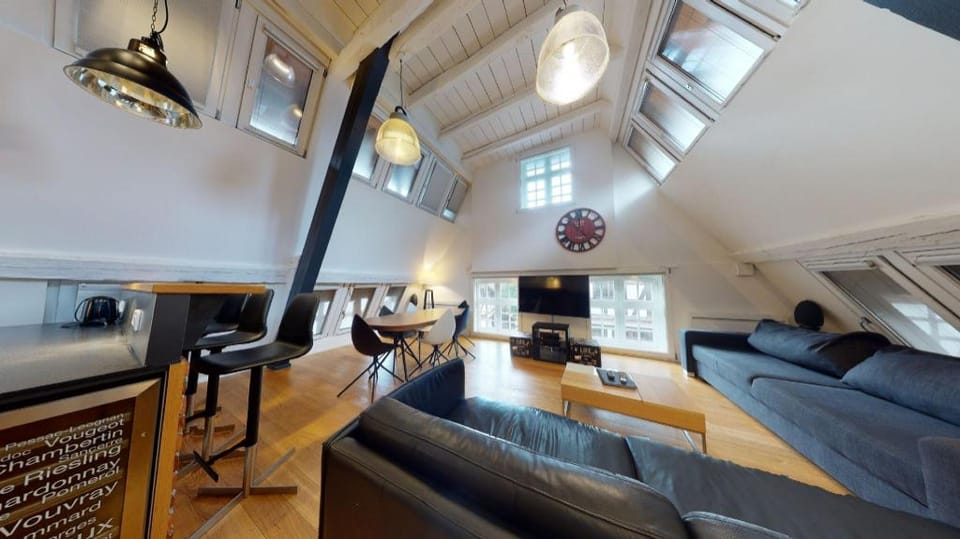 lohkas triplex loft  petite france 2br 2bth Apartment in Strasbourg