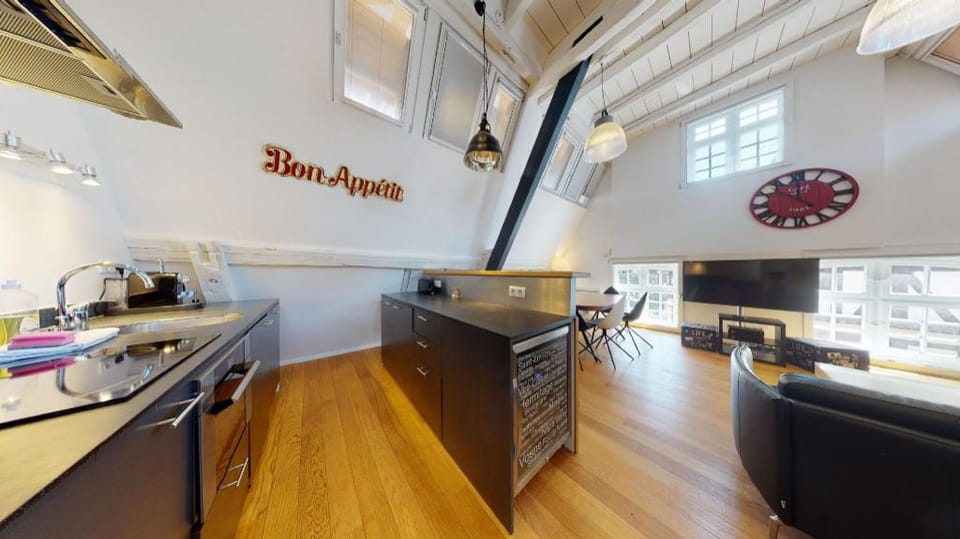 lohkas triplex loft  petite france 2br 2bth Apartment in Strasbourg