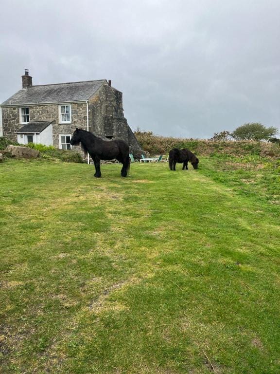 Kitts Cottage  in Redruth Apartment in England