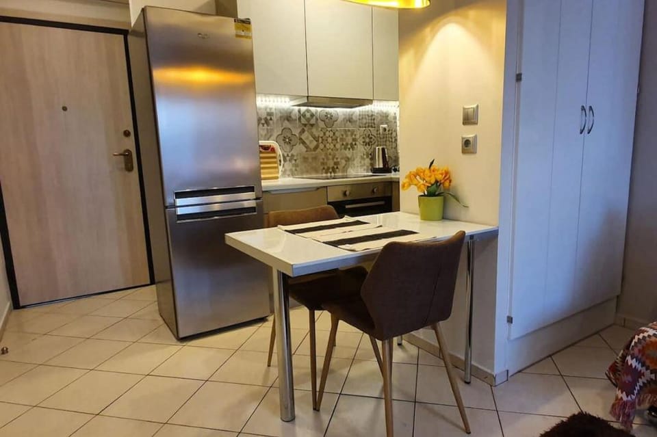 Cozy Luxury Apartment in the Heart of Athens 8-1 Apartment in Athens