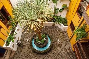 Authentic Canarian Apartment in a guesthouse Vacation rental in Orotava Valley