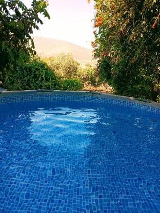 Tafat's Haven Lodge Vacation rental in North District