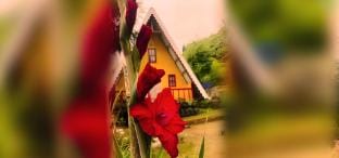 Cozy Wooden Cottages Vacation rental in West Bengal