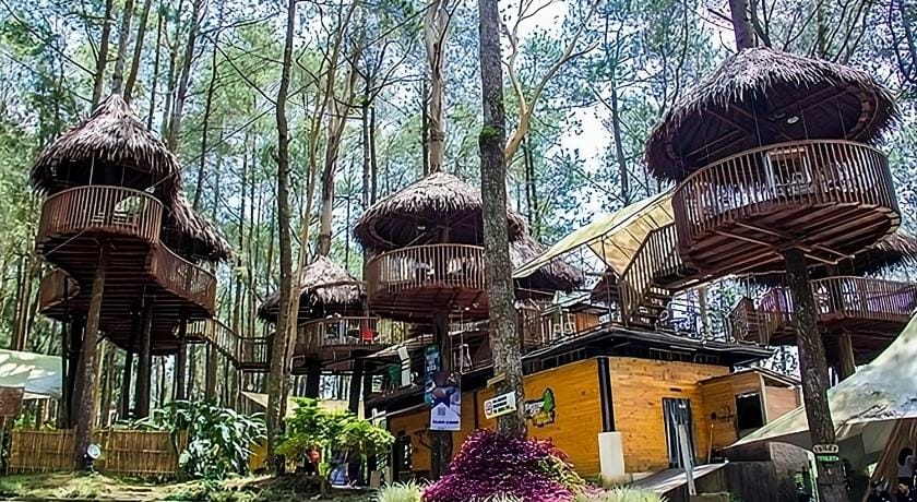 Kopeng Tretop Adventure Park Hotel in Indonesia