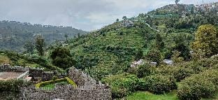 Bloomage Cottage Villa in Kodaikanal