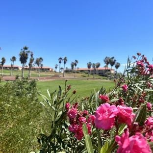 Pool view apt. in Ocean Golf CC (K118) Apartment in Abona