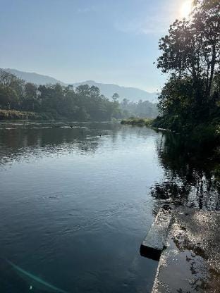 Riverview Resort Kanjar Vacation rental in Kerala