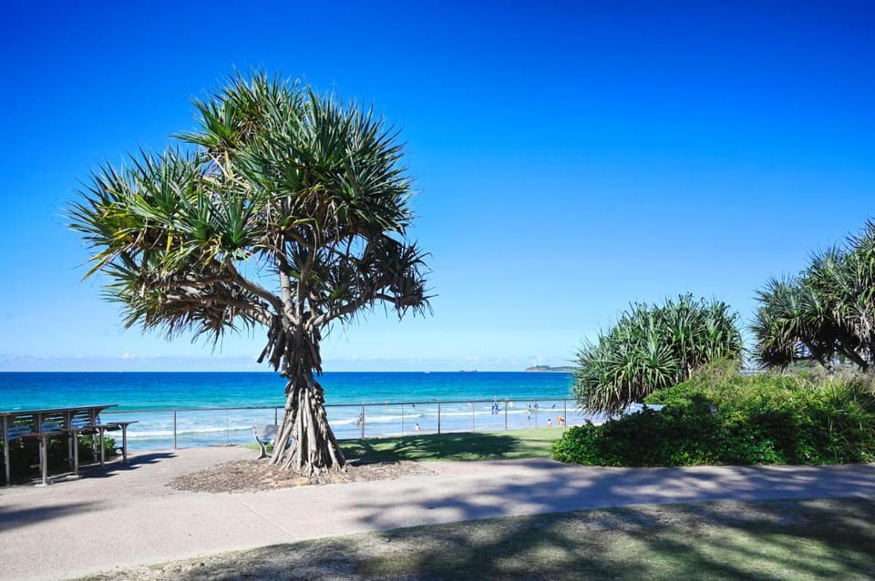 Beachfront Choices Choices Choices Apartment in Sunshine Coast