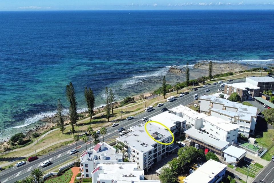 Beachfront Choices Choices Choices Apartment in Sunshine Coast