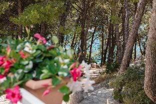 Lavica Bellevue apartments & studios Apartment in Podstrana