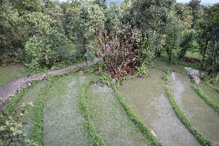 The Chirping Nest, Fully Furnished 1Bhk in Tangh Vacation rental in Punjab, India