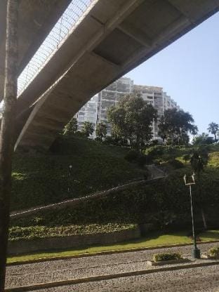 Central cozy pet friendly studio Apartment in Miraflores