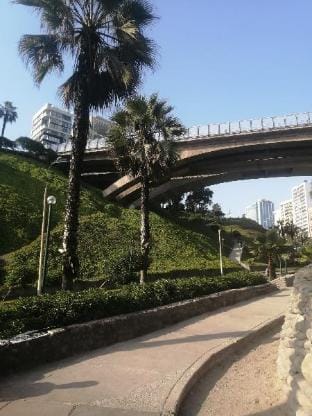 Central cozy pet friendly studio Apartment in Miraflores