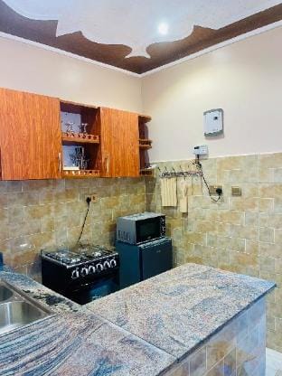 Cozy Nest 1bedroom Kulambiro Vacation rental in Kampala