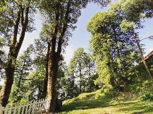 Fair Lawn Dalhousie Vacation rental in Himachal Pradesh