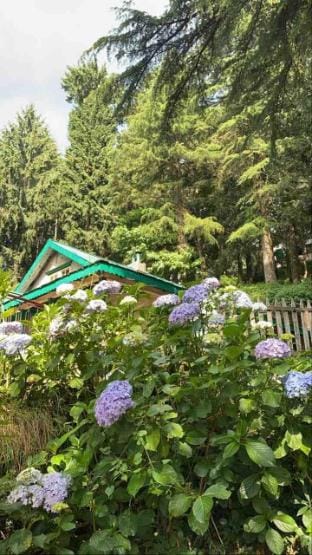Fair Lawn Dalhousie Vacation rental in Himachal Pradesh