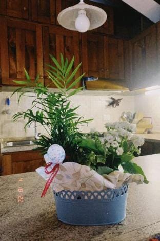 La Loggia Luxury Home Apartment in Abruzzo
