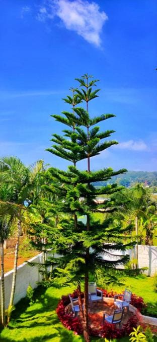 Cloud9Villa Yelagiri Villa in Tamil Nadu