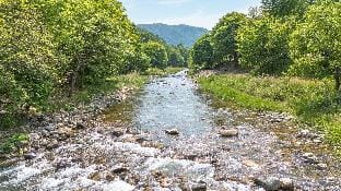 Yangpyeong dodam dodam pension Bed and Breakfast in Gyeonggi-do