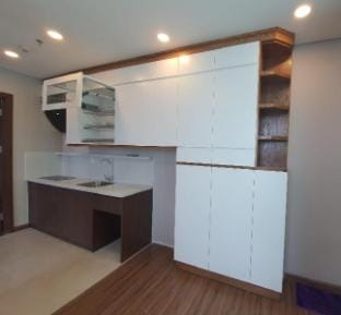Apec luxury Apartment in Laos