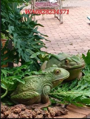 The Salvage Garden Vacation rental in Gauteng