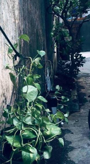 A Goan Feel Studio Vacation rental in Mumbai