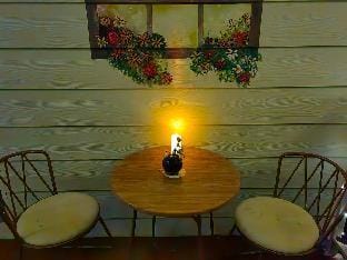 At home in the forest. Vacation rental in Sabah