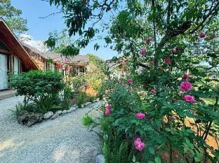 Doi Gio Hu Homestay & Coffee -Mang Den Vacation rental in Vietnam