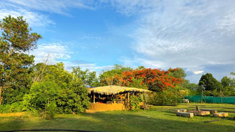 Bastar Birds Nest Hotel in India