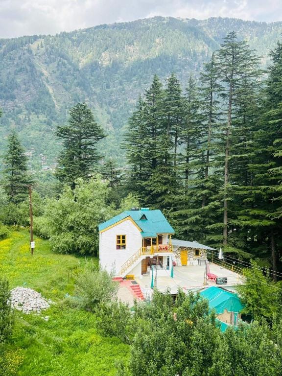 Asha Cottage Manali Hotel in Manali