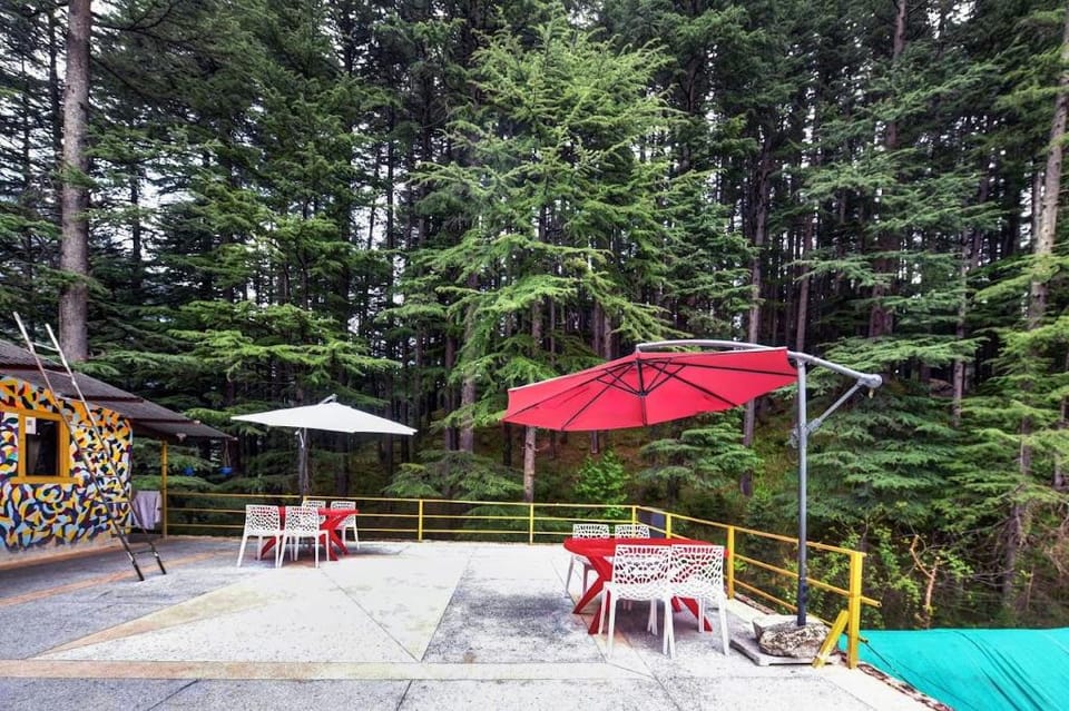 Asha Cottage Manali Hotel in Manali