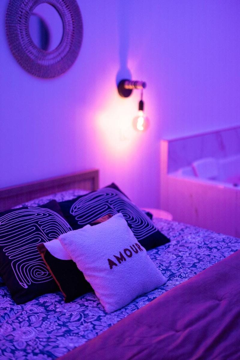 Harmonie Spa Apartment in Dijon