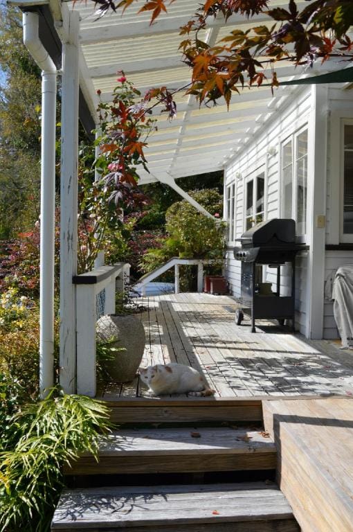 Magpie Cottage - Homestay Bed & Breakfast Vacation rental in Manawatū-Whanganui, New Zealand