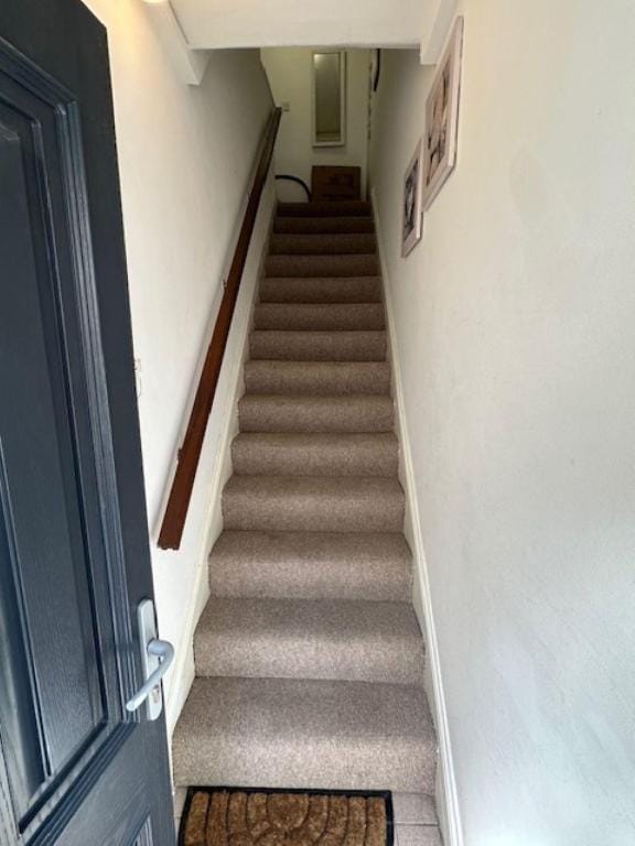 Hayden's House Apartment in Kinsale