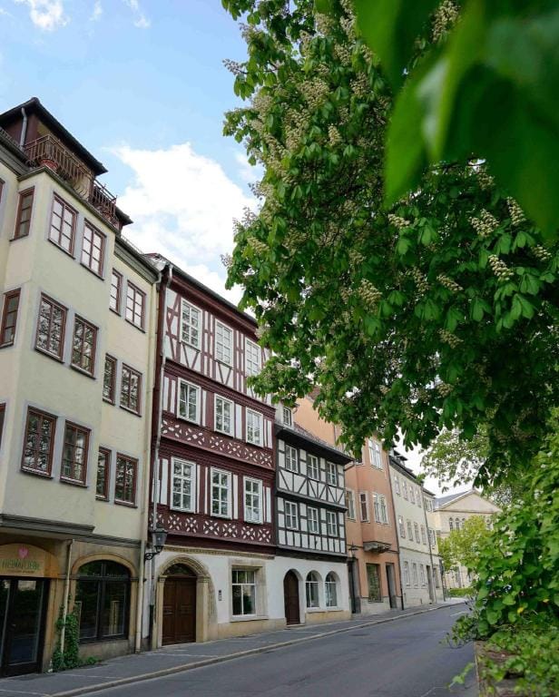 Lady Milavie apartments Apartment in Coburg