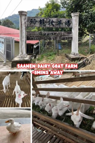 Nyaman Sweet Home (甜蜜家园) Vacation rental in Bayan Lepas