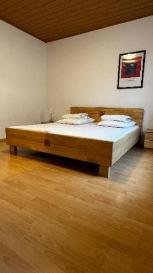 House of BaRanGo Apartment in Styria
