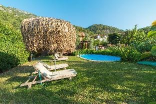Bluberry Faralya wooden house Vacation rental in Muğla Province