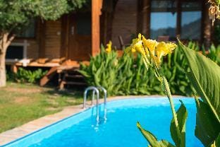Bluberry Faralya wooden house Vacation rental in Muğla Province