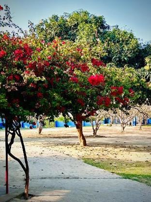 Gooseberry Garden Vacation rental in Nepal